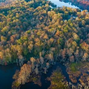 Aerial view of the property