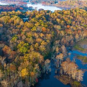 Photo #11 of 15507 Fort James Court, Lanexa, Virginia 8.8 acres