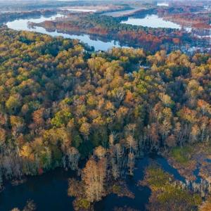 Photo #13 of 15507 Fort James Court, Lanexa, Virginia 8.8 acres