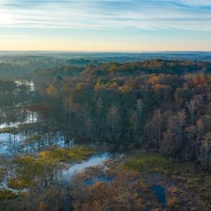 View of the property from the upper portion of Diacsund Creek looking downstream