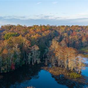 View of the property from Diacsund Creek downstream