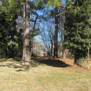 Photo #4 of 217 Downes Street, Hampton, Virginia 0.2 acres