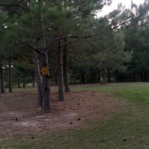 Photo #11 of 122 Ac Benn's Grant (off of) Boulevard, Smithfield, Virginia 122.6 acres