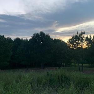 Photo #12 of 122 Ac Benn's Grant (off of) Boulevard, Smithfield, Virginia 122.6 acres