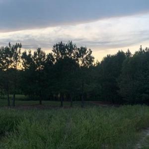 Photo #13 of 122 Ac Benn's Grant (off of) Boulevard, Smithfield, Virginia 122.6 acres