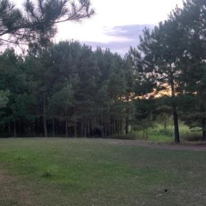 Photo #14 of 122 Ac Benn's Grant (off of) Boulevard, Smithfield, Virginia 122.6 acres