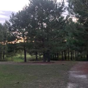 Photo #15 of 122 Ac Benn's Grant (off of) Boulevard, Smithfield, Virginia 122.6 acres