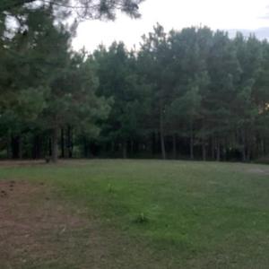 Photo #5 of 122 Ac Benn's Grant (off of) Boulevard, Smithfield, Virginia 122.6 acres