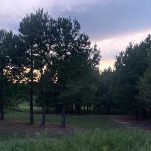 Photo #6 of 122 Ac Benn's Grant (off of) Boulevard, Smithfield, Virginia 122.6 acres