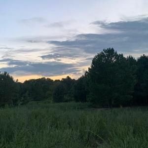 Photo #7 of 122 Ac Benn's Grant (off of) Boulevard, Smithfield, Virginia 122.6 acres