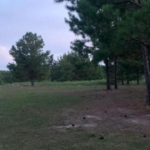 Photo #8 of 122 Ac Benn's Grant (off of) Boulevard, Smithfield, Virginia 122.6 acres