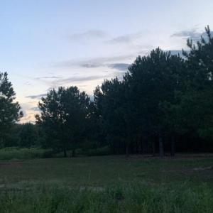 Photo #9 of 122 Ac Benn's Grant (off of) Boulevard, Smithfield, Virginia 122.6 acres