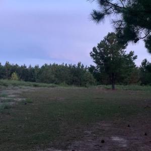 Photo #4 of 122 Ac Benn's Grant (off of) Boulevard, Smithfield, Virginia 122.6 acres