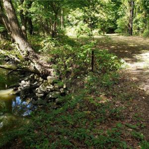 Photo #2 of 206 Bob White Street, Portsmouth, Virginia 4.8 acres