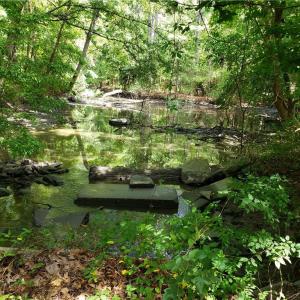 Photo #3 of 206 Bob White Street, Portsmouth, Virginia 4.8 acres
