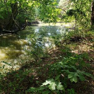 Photo #6 of 206 Bob White Street, Portsmouth, Virginia 4.8 acres