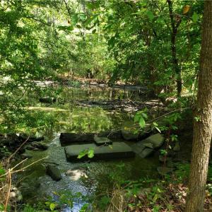 Photo #7 of 206 Bob White Street, Portsmouth, Virginia 4.8 acres
