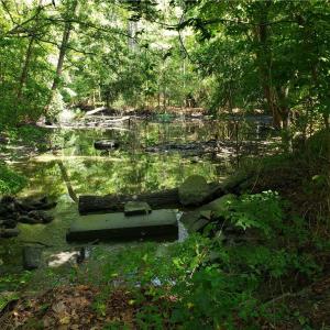 Photo #8 of 206 Bob White Street, Portsmouth, Virginia 4.8 acres