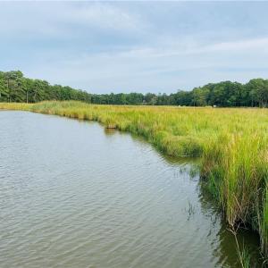 Lot 4 Paddock has 5 Acres of Waterfront with 5' Mean Low Water - Great Fishing and Bird Watching
