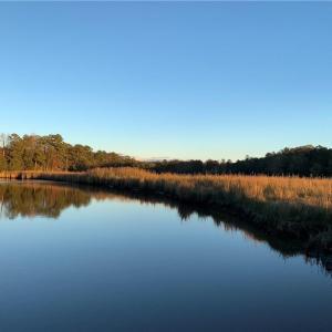 The Marshes add Personality to Paddock Drives 5 Acre Waterfront Acreage