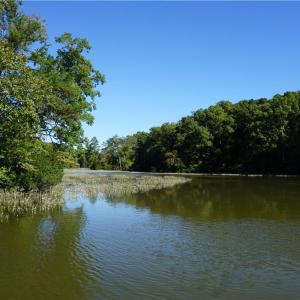Photo #1 of 1000 England Circle, Williamsburg, Virginia 12.3 acres