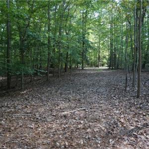 Photo #13 of 1000 England Circle, Williamsburg, Virginia 12.3 acres