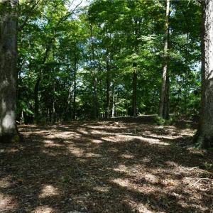 Photo #14 of 1000 England Circle, Williamsburg, Virginia 12.3 acres