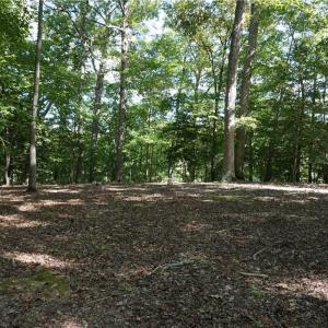 Photo #15 of 1000 England Circle, Williamsburg, Virginia 12.3 acres