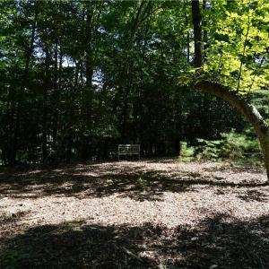 Photo #16 of 1000 England Circle, Williamsburg, Virginia 12.3 acres