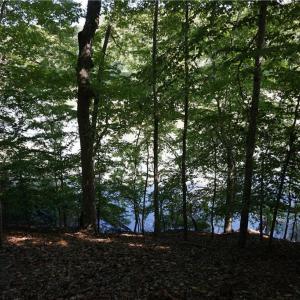 Photo #17 of 1000 England Circle, Williamsburg, Virginia 12.3 acres