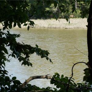 Photo #18 of 1000 England Circle, Williamsburg, Virginia 12.3 acres