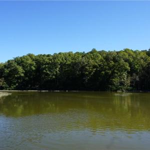 Photo #3 of 1000 England Circle, Williamsburg, Virginia 12.3 acres