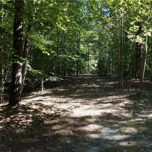 Photo #10 of 1000 England Circle, Williamsburg, Virginia 12.3 acres