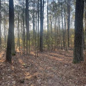 Photo #1 of SOLD property in 244Ac Buzzard Point Road, Mathews, Virginia 244.0 acres
