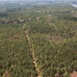 Photo #8 of SOLD property in 244Ac Buzzard Point Road, Mathews, Virginia 244.0 acres