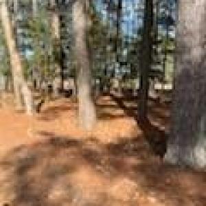 Photo #15 of Lot 8 LANDING Road, North, Virginia 0.5 acres