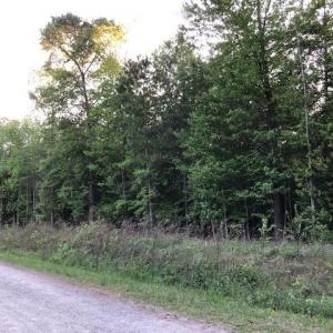 Photo #1 of 001 Beasley Drive, Gloucester, Virginia 7.1 acres