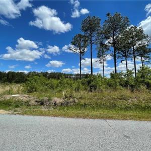 Photo #11 of 81+ AC Indian Trail, Suffolk, Virginia 81.7 acres
