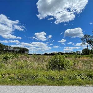 Photo #4 of 81+ AC Indian Trail, Suffolk, Virginia 81.7 acres