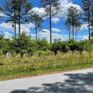 Photo #6 of 81+ AC Indian Trail, Suffolk, Virginia 81.7 acres