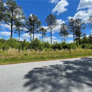 Photo #7 of 81+ AC Indian Trail, Suffolk, Virginia 81.7 acres