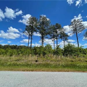Photo #8 of 81+ AC Indian Trail, Suffolk, Virginia 81.7 acres