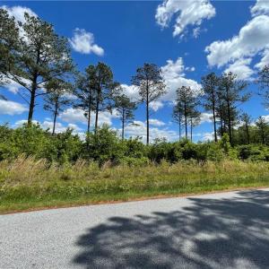 Photo #9 of 81+ AC Indian Trail, Suffolk, Virginia 81.7 acres