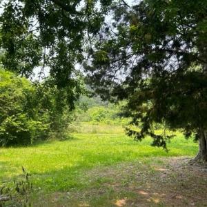 Photo #3 of 6009 Occohannock Neck Road, Exmore, Virginia 1.7 acres