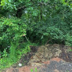 Photo #2 of 4225 Clifton Street, Suffolk, Virginia