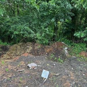 Photo #3 of 4225 Clifton Street, Suffolk, Virginia