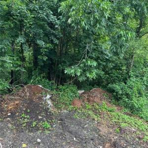 Photo #4 of 4225 Clifton Street, Suffolk, Virginia