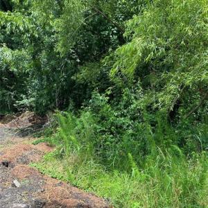 Photo #1 of .18AC Clifton Street, Suffolk, Virginia