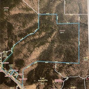 Photo #2 of 1928 Frye, Westfield, NC 77.0 acres