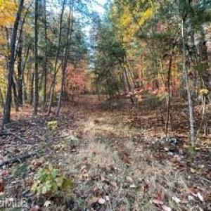 Photo #10 of 1928 Frye, Westfield, NC 77.0 acres